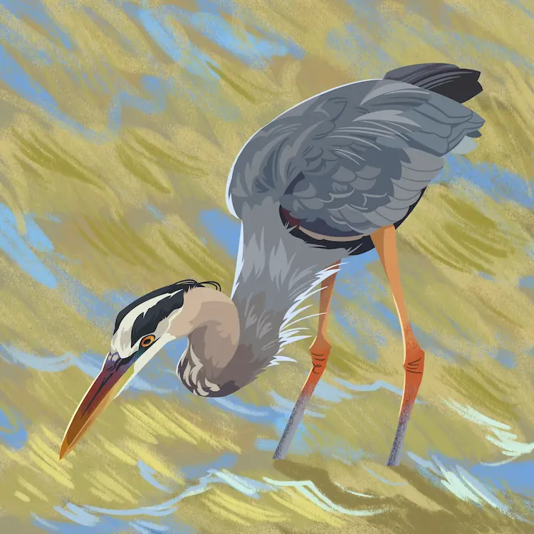 A painting of a great blue heron standing still in some shallow, windy water. Its head is lowered and eyes are trained below, waiting patiently for prey.