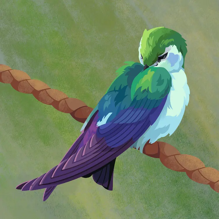 A painting of a violet-green swallow sleeping on a brown, braided rope. Its beak is tucked into its back.