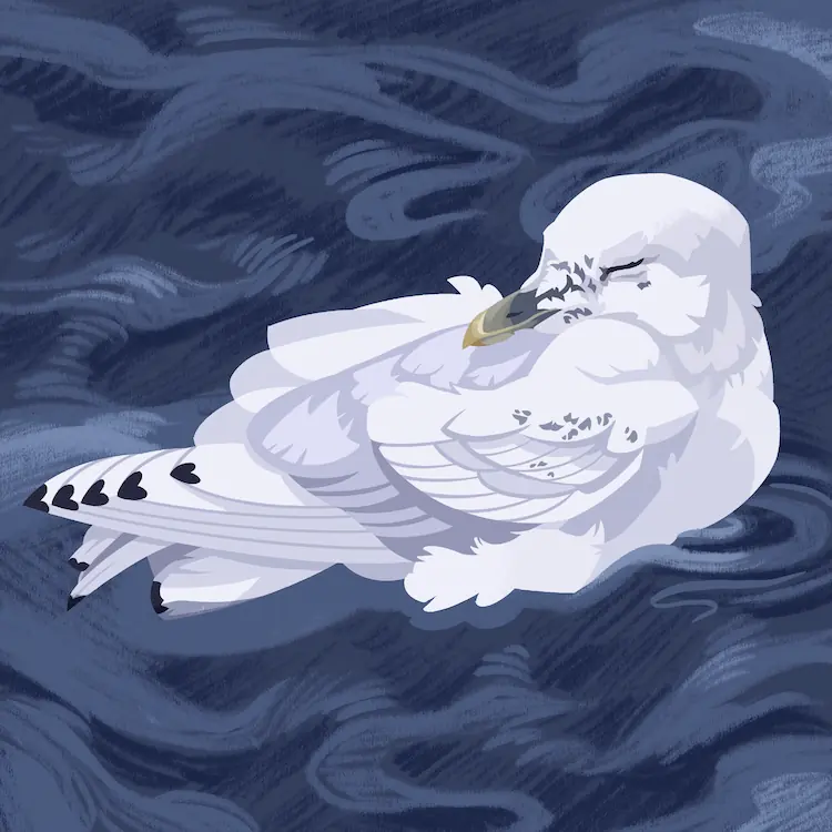 A painting of an ivory gull floating on the surface of dark waters, head nestled over its back and eyes closed.