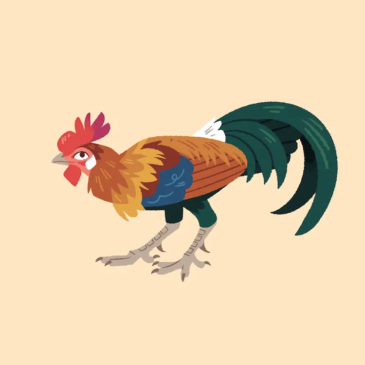 Red Junglefowl