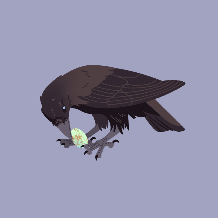 ʻalalā, or Hawaiian Crow