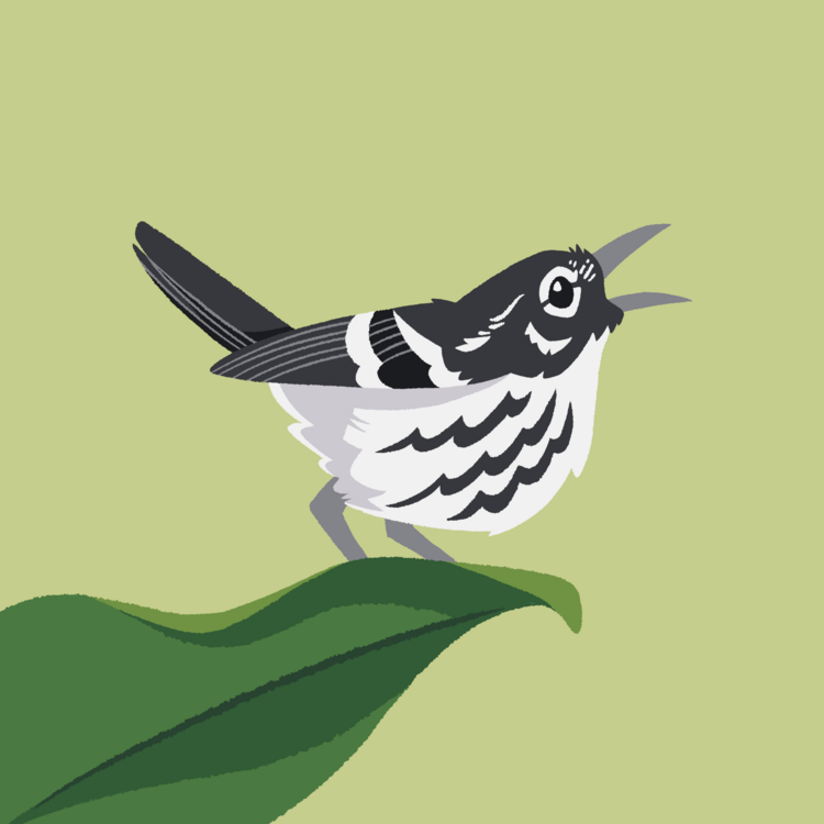 Elfin-Woods Warbler